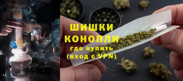 шишки Алексеевка